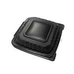 Wl P91 Food Container Clamshell
